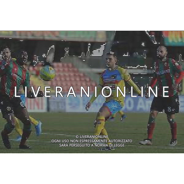 Ternana vs Catania Coppa Italia Serie C - Semifinale andata Stadio Libero Liberati - Terni 29-01-2020 nella foto Salandria in azione FOTO FEDERICO GAETANO-AG ALDO LIVERANI SAS