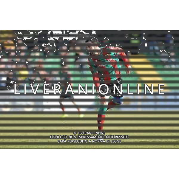 Ternana vs Catania Coppa Italia Serie C - Semifinale andata Stadio Libero Liberati - Terni 29-01-2020 nella foto Dario Bergamelli ©Gaetano Federico / AGENZIA ALDO LIVERANI SAS