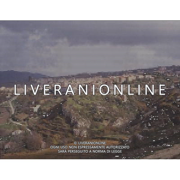Sicilia Rocalmuto archivio Ag.Aldo Liverani