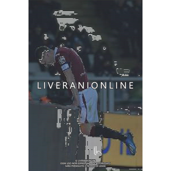 Torino 08.02.2020 Stadio Grande Torino ©Falzone/Agenzia Aldo Liverani 08.02.2020 23^ giornata Torino vs Sampdoria Serie A Tim 2019-2020 Nella foto : Andrea Belotti