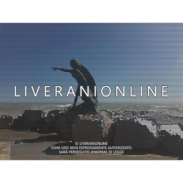 RIMINI NELLA FOTO MAREGGIATA A RIMINI MARE AG ALDO LIVERANI SAS