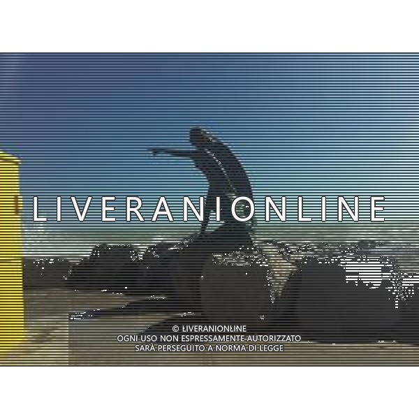 RIMINI NELLA FOTO MAREGGIATA A RIMINI MARE AG ALDO LIVERANI SAS