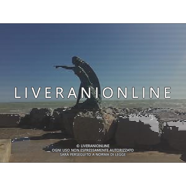 RIMINI NELLA FOTO MAREGGIATA A RIMINI MARE AG ALDO LIVERANI SAS