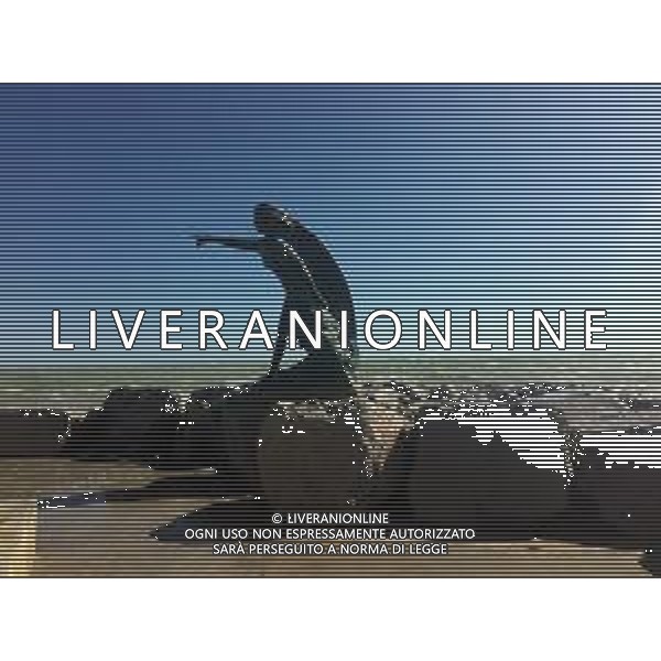RIMINI NELLA FOTO MAREGGIATA A RIMINI MARE AG ALDO LIVERANI SAS