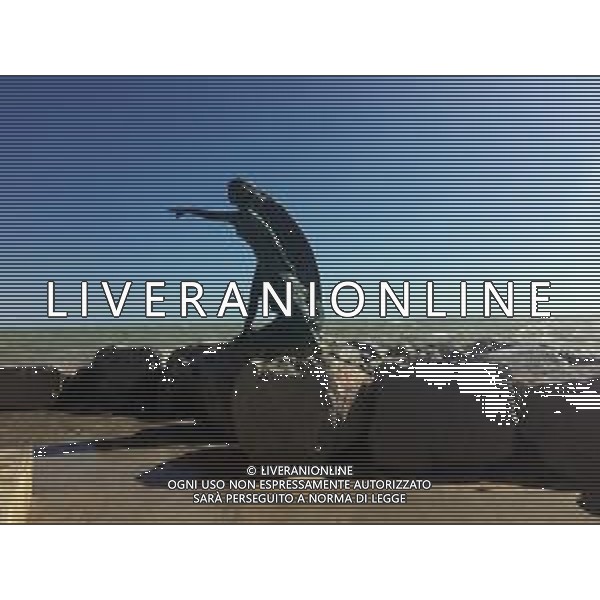 RIMINI NELLA FOTO MAREGGIATA A RIMINI MARE AG ALDO LIVERANI SAS