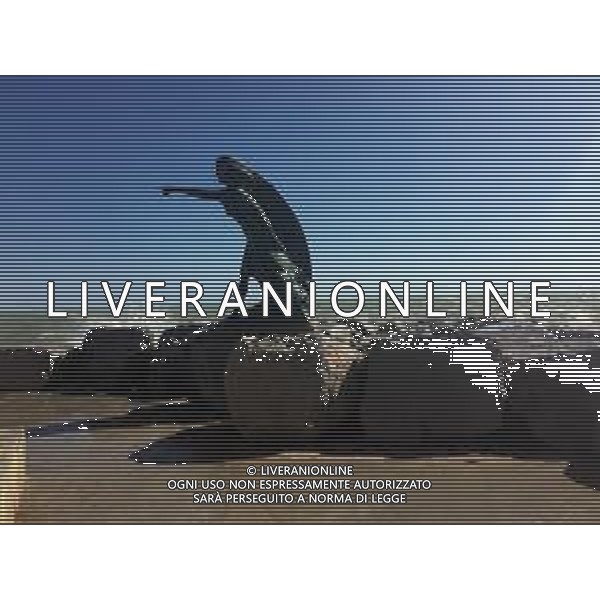 RIMINI NELLA FOTO MAREGGIATA A RIMINI MARE AG ALDO LIVERANI SAS