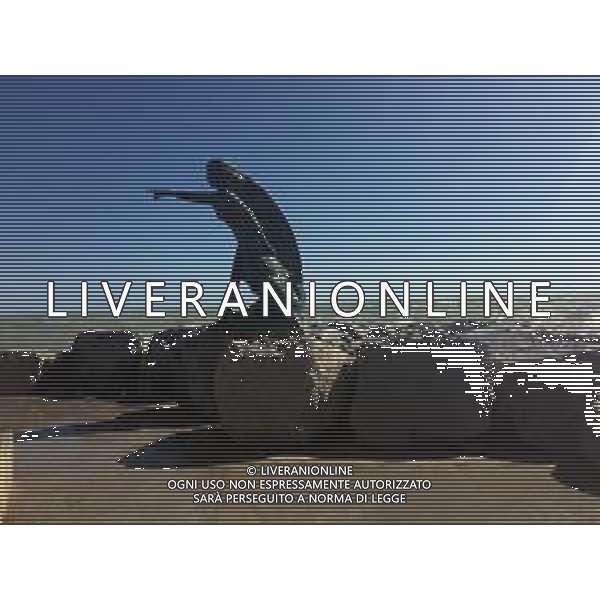 RIMINI NELLA FOTO MAREGGIATA A RIMINI MARE AG ALDO LIVERANI SAS