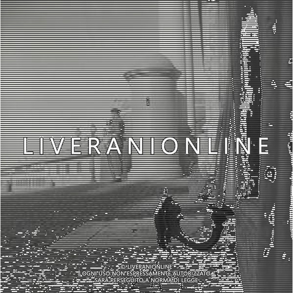 1950 ROMA PALAZZO DEL QUIRINALE I VIGILI DEL FUOCO CAMBIANO LE LUCI DEI LAMPIONI AG ALDO LIVERANI SAS