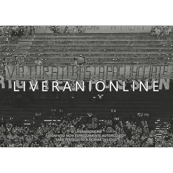 14-06-1981 MILANO-CAMPIONATO DI CALCIO SERIE B MILAN MONZA 1-0 NELLA FOTO TIFOSI MILAN CONTRO LA DIRIGENZA DEL MILAN AG ALDO LIVERANI SAS