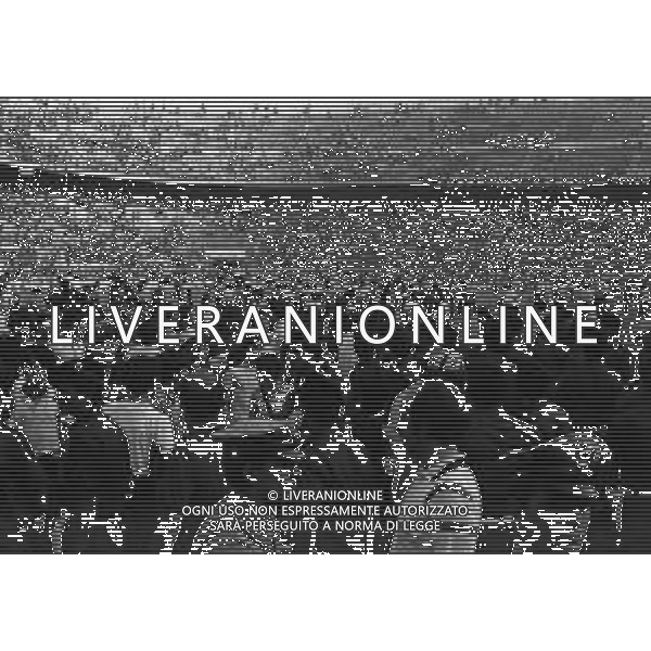 14-06-1981 MILANO-CAMPIONATO DI CALCIO SERIE B MILAN MONZA 1-0 NELLA FOTO INVASIONE DI CAMPO DEI TIFOSI DEL MILAN CHE FESTEGGIANO LA PROMOZIONE IN SERIE A AG ALDO LIVERANI SAS