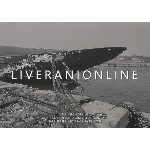 1974 TRIESTE LA NAVE ELETTRA DI GUGLIELMO MARCONI DISMESSA NEL PORTO DI TRIESTE NELLA FOTO Elettra fu la nave-laboratorio su cui Guglielmo Marconi effettuò numerosi dei suoi esperimenti di radiofonia tra le due guerre mondiali AG ALDO LIVERANI SAS