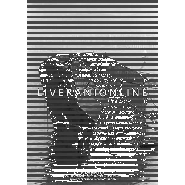 1974 TRIESTE LA NAVE ELETTRA DI GUGLIELMO MARCONI DISMESSA NEL PORTO DI TRIESTE NELLA FOTO Elettra fu la nave-laboratorio su cui Guglielmo Marconi effettuò numerosi dei suoi esperimenti di radiofonia tra le due guerre mondiali AG ALDO LIVERANI SAS
