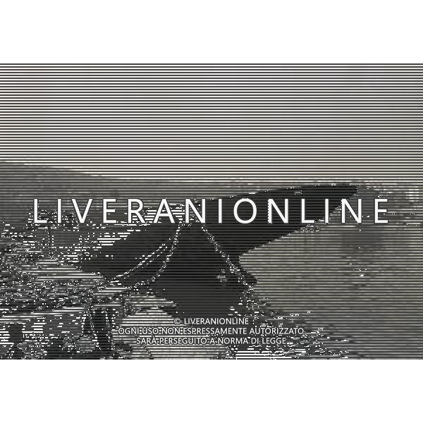1974 TRIESTE LA NAVE ELETTRA DI GUGLIELMO MARCONI DISMESSA NEL PORTO DI TRIESTE NELLA FOTO Elettra fu la nave-laboratorio su cui Guglielmo Marconi effettuò numerosi dei suoi esperimenti di radiofonia tra le due guerre mondiali AG ALDO LIVERANI SAS