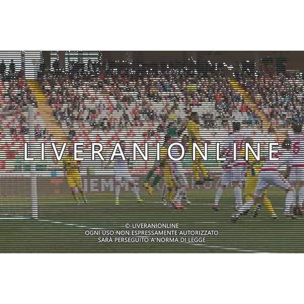 Campionato di Calcio Serie C - Lega Pro 2019/2020 Padova, Italia 16/02/2020 Calcio Padova vs Fermana Nella foto: L\'uscita di pugni di Stefano Minelli (Padova) ©Mattia Radoni - Alessio Marini / AGENZIA ALDO LIVERANI SAS