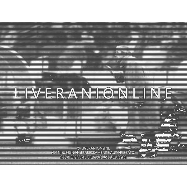 RETROSPETTIVA MARCELLO LIPPI ALLENATORE NELLA FOTO MARCELLO LIPPI ALLENATORE DEL CESENA CALCIO 1990-1991 AG ALDO LIVERANI SAS