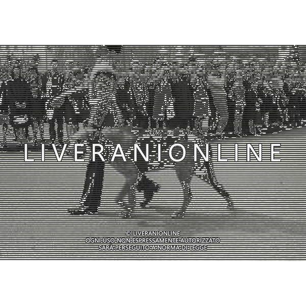 LONDRA ANNO 1968 Londra, capitale dell\'Inghilterra e del Regno Unito, è una città estremamente contemporanea con una storia che risale all\'antica Roma. Nel suo centro sorgono l\'imponente Palazzo del Parlamento, l\'iconica torre dell\'orologio nota come Big Ben e l\'abbazia di Westminster, dove hanno luogo le incoronazioni dei monarchi britannici. AG ALDO LIVERANI SAS
