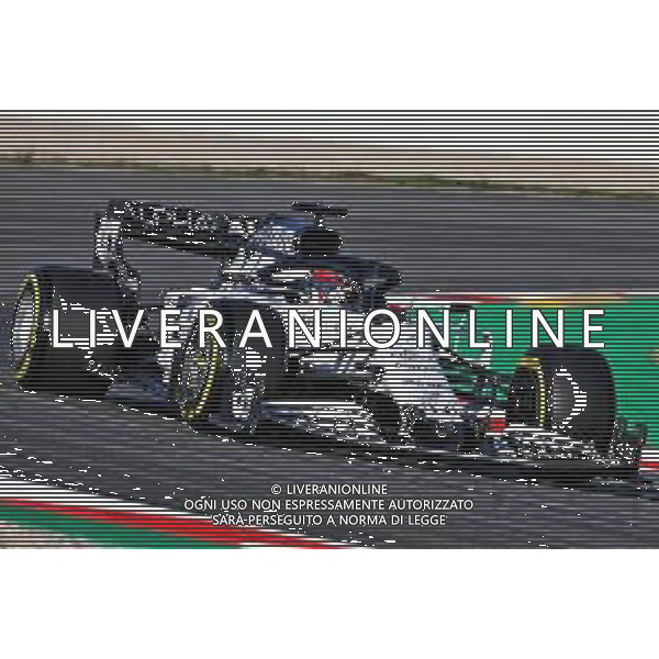Daniil Kvyat (RUS) AlphaTauri AT01. 19.02.2020. Formula One Testing, Day One, Barcelona, Spain. Wednesday. - / AGENZIA ALDO LIVERANI SAS - ITALY ONLY EDITORIAL USE ONLY - Test F1 Barcellona Spagna 19.02.2020