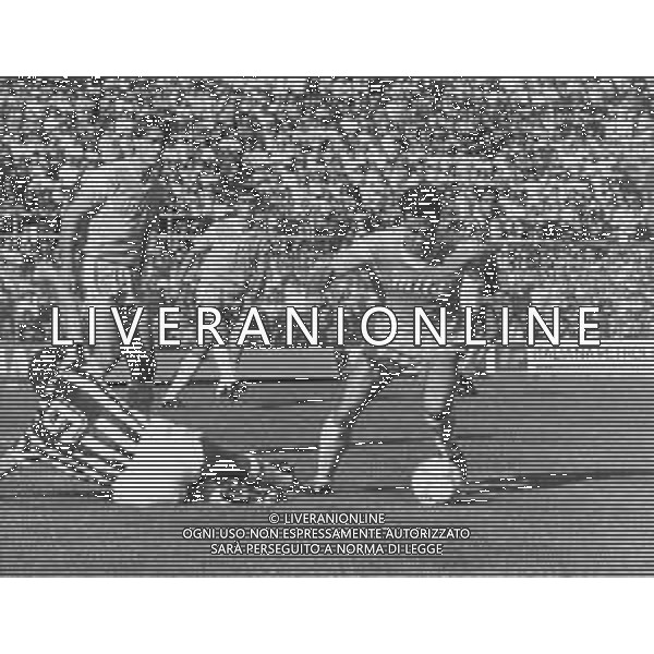 RETROSPETTIVA MASSIMO ALBIERO CALCIATORE NELLA FOTO MASSIMO ALBIERO CON LA MAGLIA DEL COMO CALCIO AG ALDO LIVERANI SAS