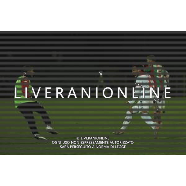 Ternana vs Bari Campionato Serie C - Stadio Libero Liberati - Terni 26-02-2020 nella foto Esultanza Bari FOTO FEDERICO GAETANO-AG ALDO LIVERANI SAS