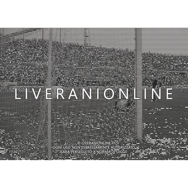13-05-1990 TORINO CAMPIONATO DI CALCIO SERIE B TORINO AVELLINO 2-2 NELLA FOTO GOAL GIANLUIGI LENTINI AG ALDO LIVERANI SAS