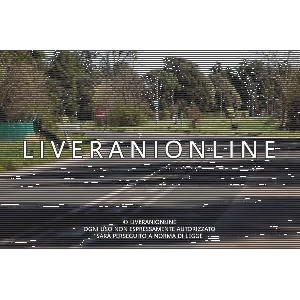 IMOLA 12 03 2020 EMERGENZA CORONAVIRUS NELLA FOTO SOLO UN CANE SULLA STRADA MONTANARA ©SANNA / AGENZIA ALDO LIVERANI SAS