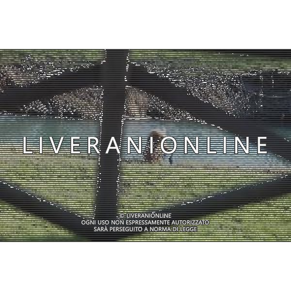 IMOLA 12 03 2020 EMERGENZA CORONAVIRUS NELLA FOTO MEDITAZIONE SULLE RIVE DEL FIUME SANTERNO ©SANNA / AGENZIA ALDO LIVERANI SAS