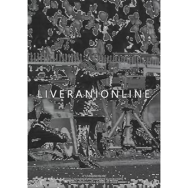 RETROSPETTIVA MARCELLO LIPPI ALLENATORE NAPOLI CALCIO 1993-1994 NELLA FOTO MARCELLO LIPPI ALLENATORE NAPOLI CALCIO 1993-1994 AG ALDO LIVERANI SAS  