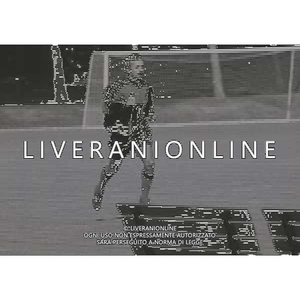 1996 MILANELLO -ALLENAMENTO AC MILAN NELLA FOTO DEJAN SAVICEVIC AG ALDO LIVERANI SAS