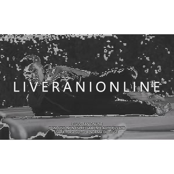 1996 MILANELLO -ALLENAMENTO AC MILAN NELLA FOTO ROBERTO BAGGIO AG ALDO LIVERANI SAS