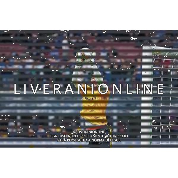 Samir Handanovic of FC Internazionaleduring italian soccer Serie A season 2019/20 of FC Internazionale - Photo credit Fabrizio Carabelli /LMEDIA/ AGENZIA ALDO LIVERANI SAS
