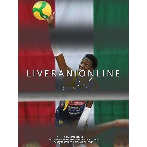 Campionato di Volley Serie A1 Femminile 2019/2020 Italy, Italia 01/01/2020 Italian Serie A1 Women Volleyball Season 2019/20 Nella foto: Paola Egonu (Conegliano) ©Ettore Griffoni - Alessio Marini / AGENZIA ALDO LIVERANI SAS