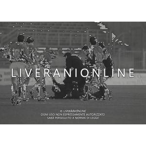 20-11-1994 BRESCIA CAMPIONATO DI CALCIO SERIE A BRESCIA ROMA 0-0 NELLA FOTO INVASIONE DI CAMPO DI CAVALLO PAZZO AG ALDO LIVERANI SAS