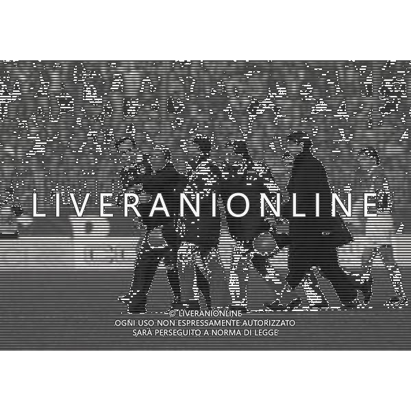 20-11-1994 BRESCIA CAMPIONATO DI CALCIO SERIE A BRESCIA ROMA 0-0 NELLA FOTO INVASIONE DI CAMPO DI CAVALLO PAZZO AG ALDO LIVERANI SAS