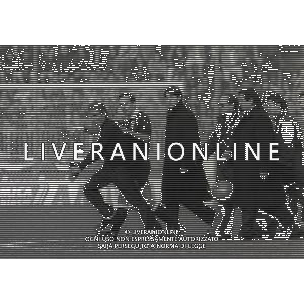 20-11-1994 BRESCIA CAMPIONATO DI CALCIO SERIE A BRESCIA ROMA 0-0 NELLA FOTO INVASIONE DI CAMPO DI CAVALLO PAZZO AG ALDO LIVERANI SAS