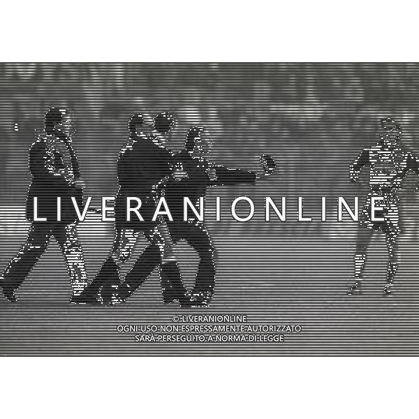 20-11-1994 BRESCIA CAMPIONATO DI CALCIO SERIE A BRESCIA ROMA 0-0 NELLA FOTO INVASIONE DI CAMPO DI CAVALLO PAZZO AG ALDO LIVERANI SAS