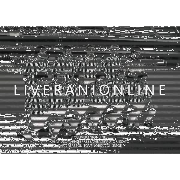 1994-1995 FORMAZIONE JUVENTUS CALCIO NELLA FOTO LA FORMAZIONE DELLA JUVENTUS CALCIO DA SIN IN PIEDI PAULO SOUSA-CIRO FERRARA-JURGEN KOHLER-FABRIZIO RAVANELLI-MICHELANGELO RAMPULLA SED DA SIN LUCA FUSI-ANTONIO CONTE-ANGELO DI LIVIO-ROBERTO BAGGIO-GIANCARLO MAROCCHI E ROBERT JARNI AG ALDO LIVERANI SAS