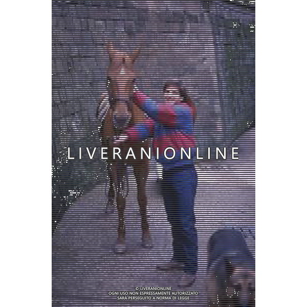 RETROSPETTIVA LUCIANO MARANGON CALCIATORE NELLAFOTO LUCIANO MARANGON AG ALDO LIVERANI SAS