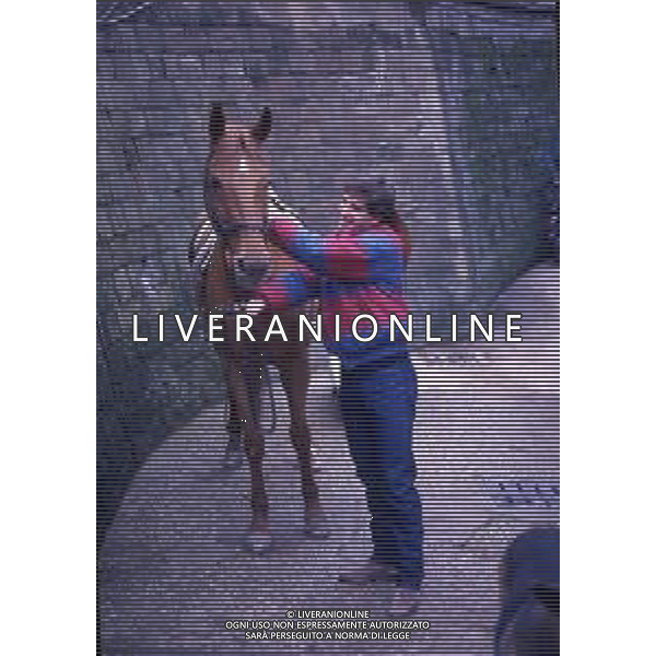 RETROSPETTIVA LUCIANO MARANGON CALCIATORE NELLAFOTO LUCIANO MARANGON AG ALDO LIVERANI SAS
