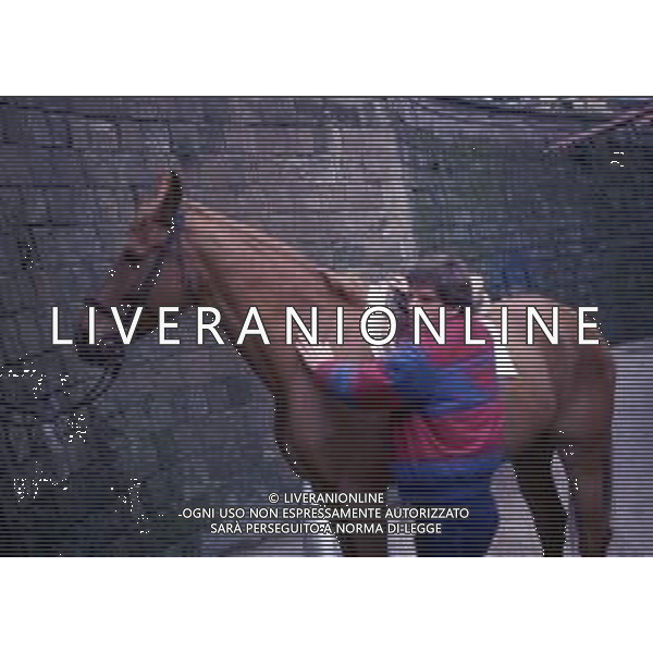RETROSPETTIVA LUCIANO MARANGON CALCIATORE NELLAFOTO LUCIANO MARANGON AG ALDO LIVERANI SAS
