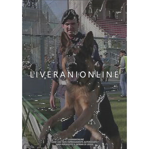 10-10-1999 ALZANO BERGAMO- CAMPIONATO DI CALCIO SERIE B ALZANO SALERNITANA 3-2 NELLA FOTO POLIZIA IN CAMPO CON IL CANE PSTORE TEDESCO AG ALDO LIVERANI SAS