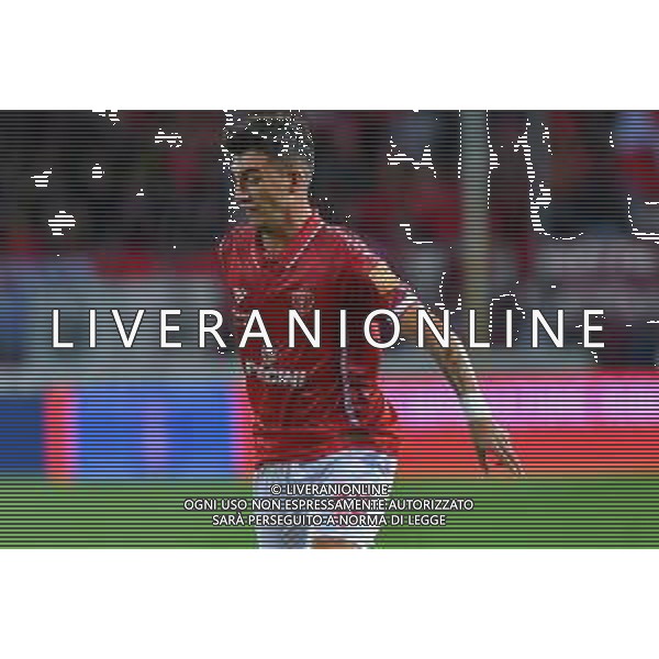 Campionato di Calcio Serie B 2019/2020 Empoli, Italia 01/01/2020 Italian Serie B Soccer season 2019/20 Nella foto: Christian Capone (Perugia) ©Lisa Guglielmi - Alessio Marini / AGENZIA ALDO LIVERANI SAS