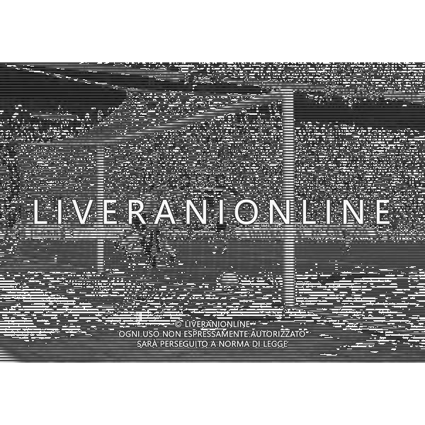 04-04-1995 MILANO SEMIFINALE DI ANDATA DI COPPA UEFA JUVENTUS -BORUSSIA DORTMUND 2-2 NELLA FOTO GOAL BORUSSIA DORTMUND AG ALDO LIVERANISAS