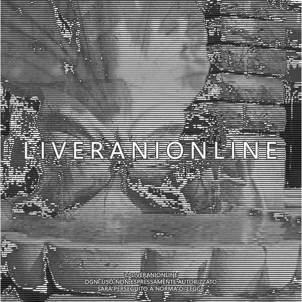 RETROSPETTIVA 1950 - VEDUTE DELLA CITTA\' DI ROMA Nella foto La fontana delle Api, situata all\'angolo di piazza Barberini con via Veneto, realizzata nel 1644 da Gian Lorenzo Bernini. ©Archivio Giovanni Liverani / AGENZIA ALDO LIVERANI SAS