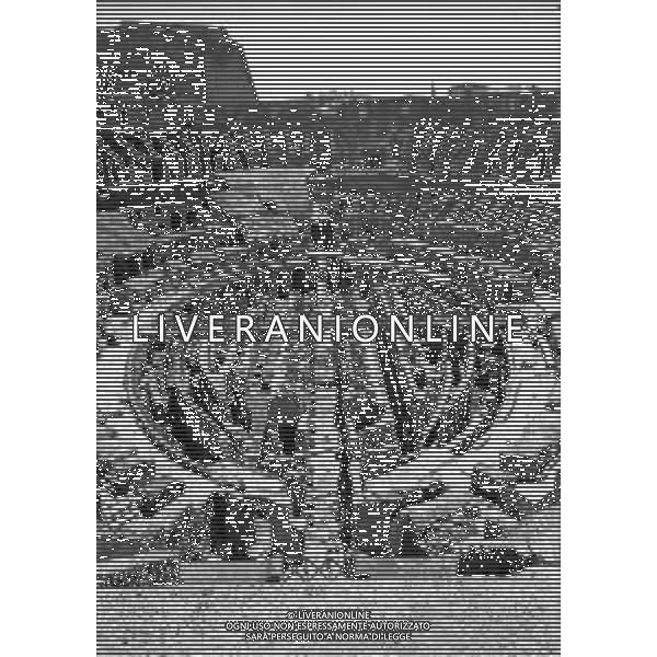 RETROSPETTIVA 1950 - VEDUTE DELLA CITTA\' DI ROMA Nella foto Veduta dell\'interno del Colosseo ©Archivio Giovanni Liverani / AGENZIA ALDO LIVERANI SAS