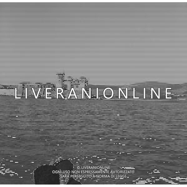 RETROSPETTIVA 1950 - VEDUTE DELLA CITTA\' DI ROMA Nella foto il Castello di Santa Severa, frazione di Santa Marinella ©Archivio Giovanni Liverani / AGENZIA ALDO LIVERANI SAS