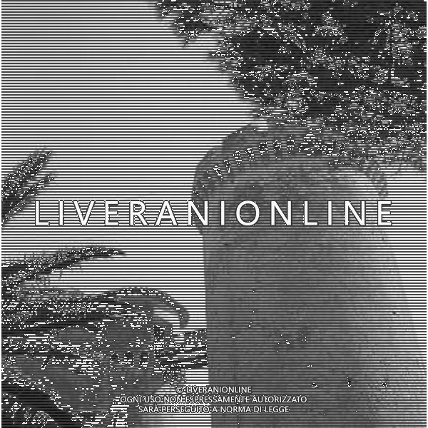 RETROSPETTIVA 1950 - VEDUTE DELLA CITTA\' DI ROMA Nella foto il Castello di Santa Severa, frazione di Santa Marinella ©Archivio Giovanni Liverani / AGENZIA ALDO LIVERANI SAS