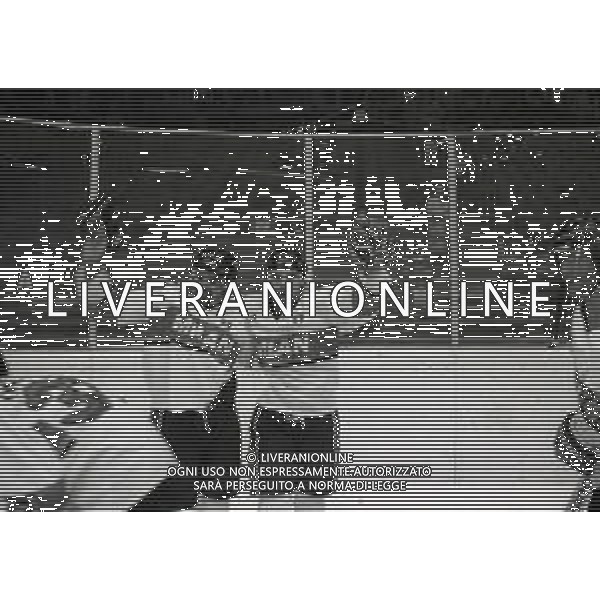 1994 MILANO FINALE SCUDETTO 5 GARA MILAN MEDIOLANUM BOLZANO NELLA FOTO FESTEGGIAMENTI PER LA VITTORIA DEL 3 SCUDETTO MILAN MEDIOLANUM HOCHEY AG ALDO LIVERANI SAS
