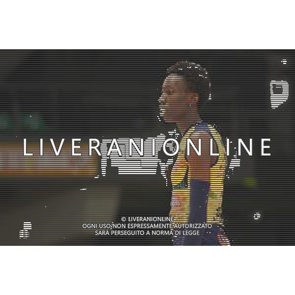 Campionato di Volley Serie A1 Femminile 2019/2020 Florence, Italy, 01 Jan 2020 Italian Volleyball Serie A1 Women season 2019/20 Photo showing: Paola Egonu (Imoco Volley Conegliano) ©Filippo Tomasi - Alessio Marini / AGENZIA ALDO LIVERANI SAS