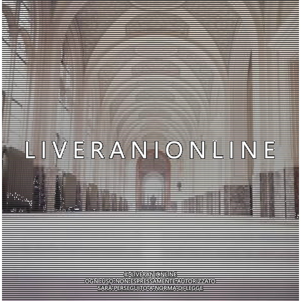 L\'Aia è una città costiera sul Mare del Nord nei Paesi Bassi occidentali. Il complesso di Binnenhof, in stile gotico, è sede del parlamento olandese, mentre il Palazzo Noordeinde, del XVI secolo, è la sede lavorativa del re. La città ospita anche la Corte Internazionale di Giustizia delle Nazioni Unite, con sede nel Palazzo della Pace, e la Corte penale internazionale. NELLA FOTO PALAZZO DI GIUSTIZIA L\'AIA AG ALDO LIVERANI SAS