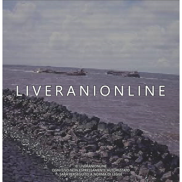 Diga Afsluitdijk, la più grande diga olandese, autostrada ANNO 1970-1975 AG ALDO LIVERANI SAS